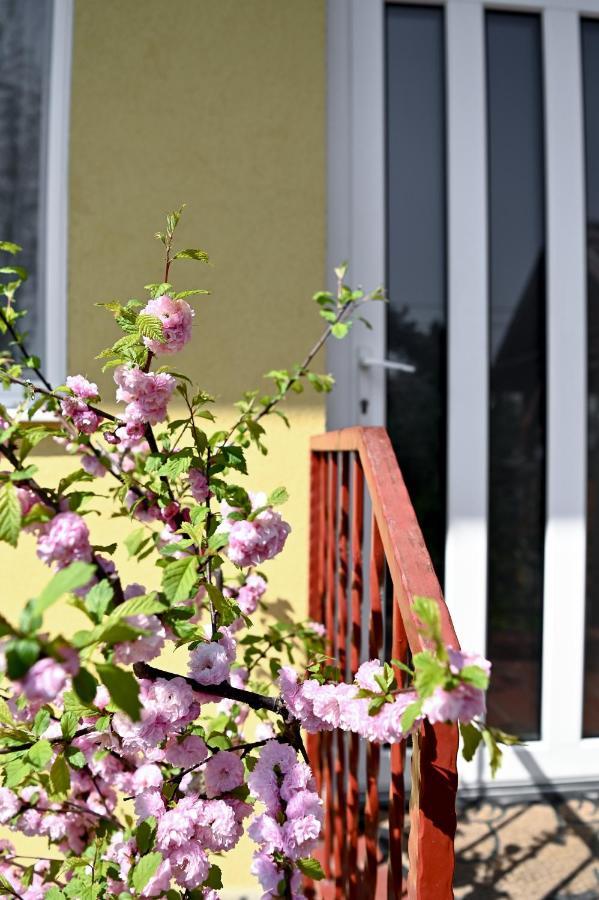 Hotel Angéla Vendegház Tokaj Esterno foto
