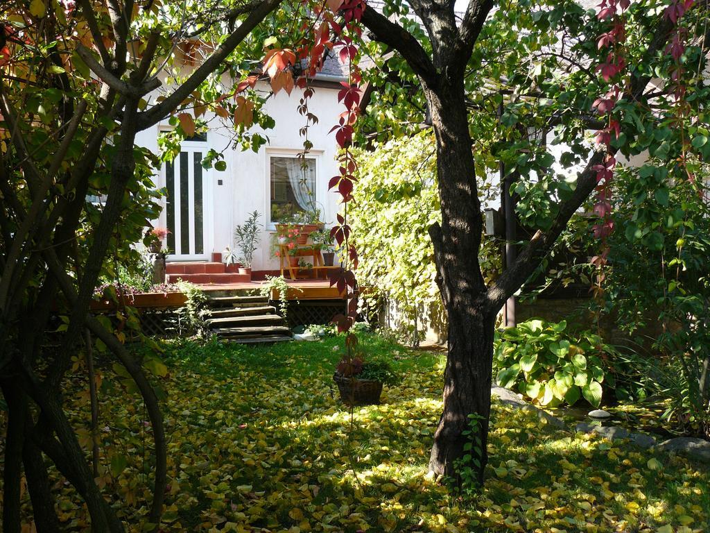Hotel Angéla Vendegház Tokaj Esterno foto