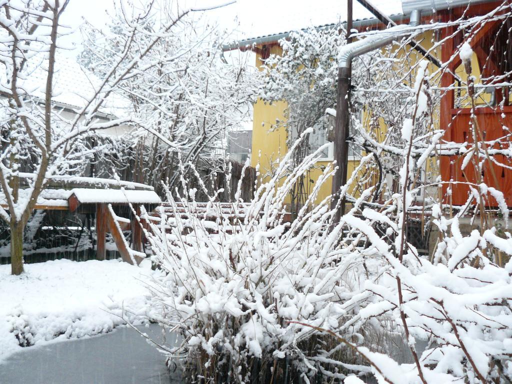 Hotel Angéla Vendegház Tokaj Esterno foto