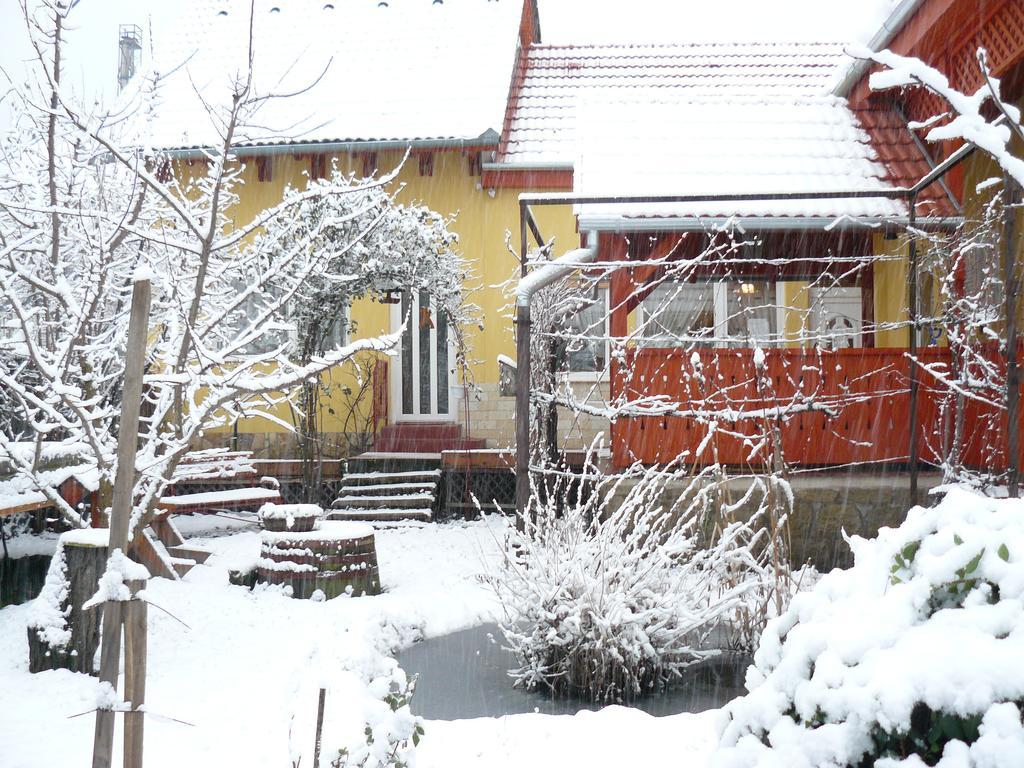 Hotel Angéla Vendegház Tokaj Esterno foto