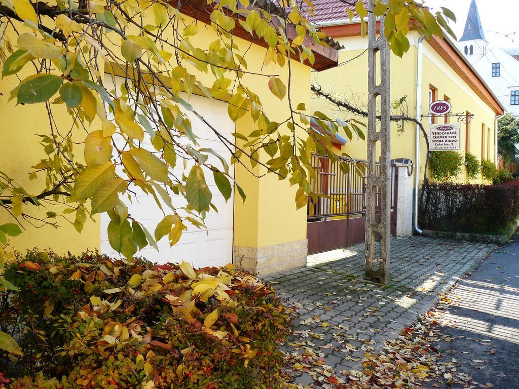 Hotel Angéla Vendegház Tokaj Esterno foto
